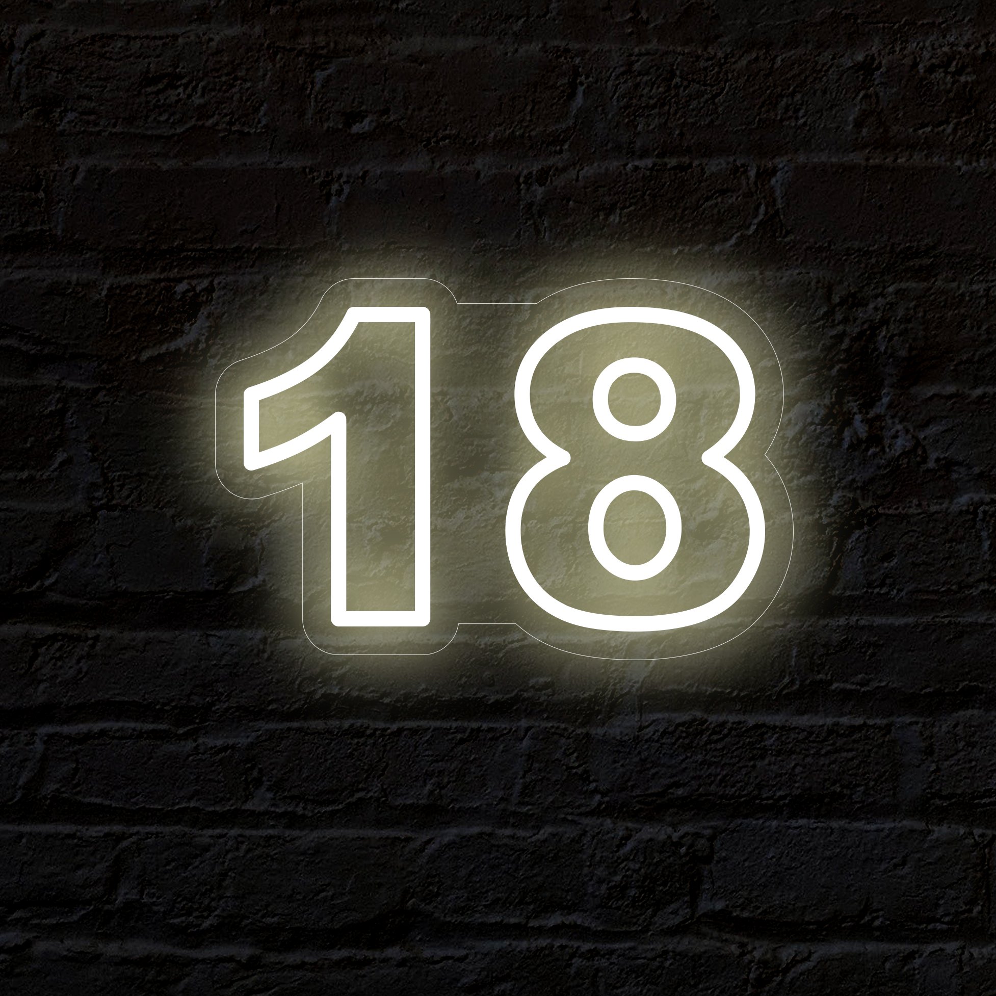 18 Eighteen Neon Sign - Little Pineapple Neon